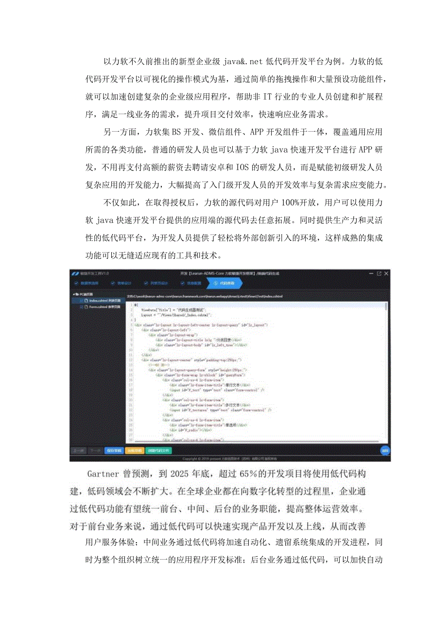 软件开发：站在风口上的低代码.docx_第2页