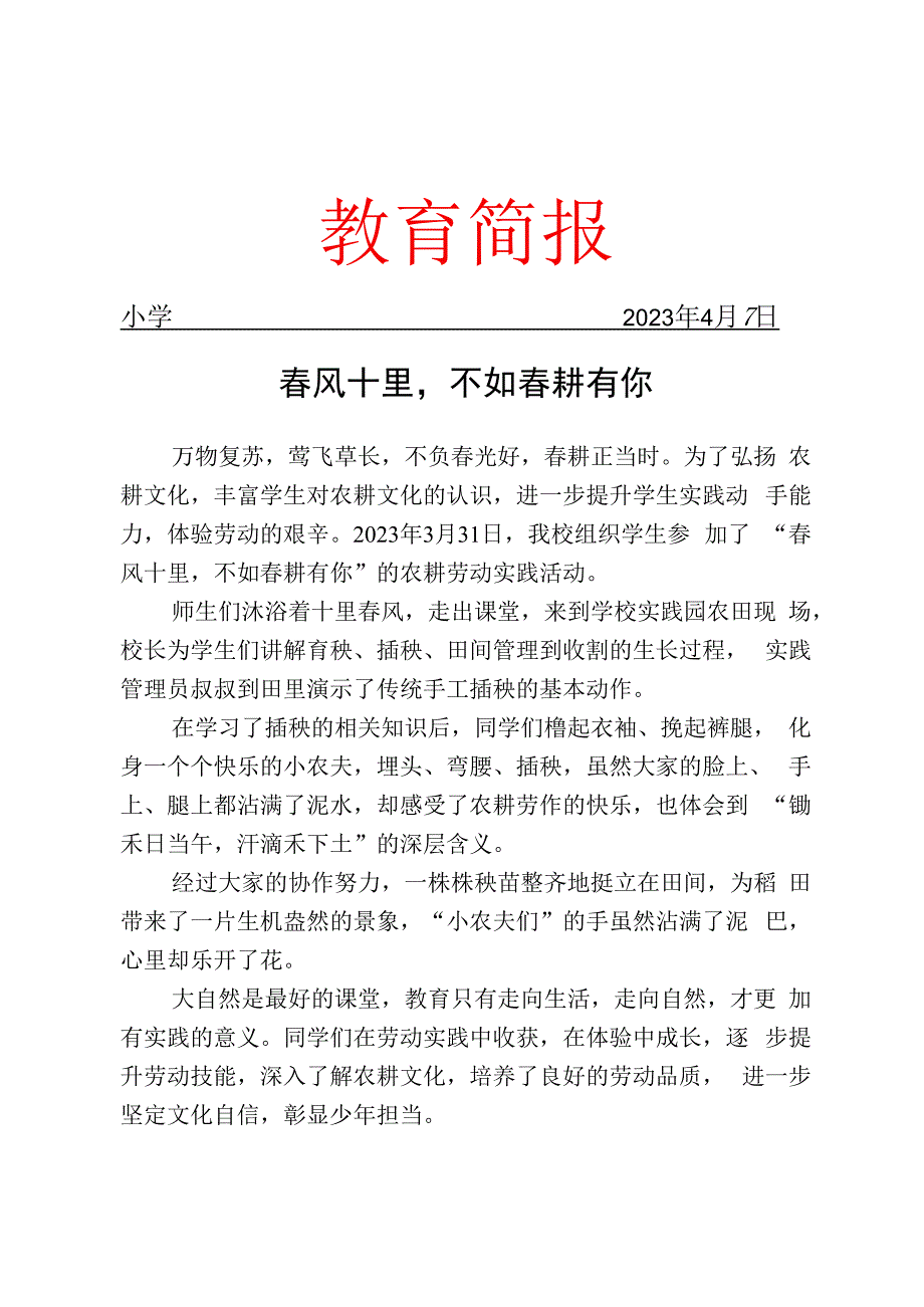 开展插秧实践活动简报.docx_第1页