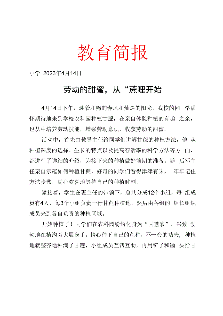 开展种甘蔗劳动实践活动简报.docx_第1页