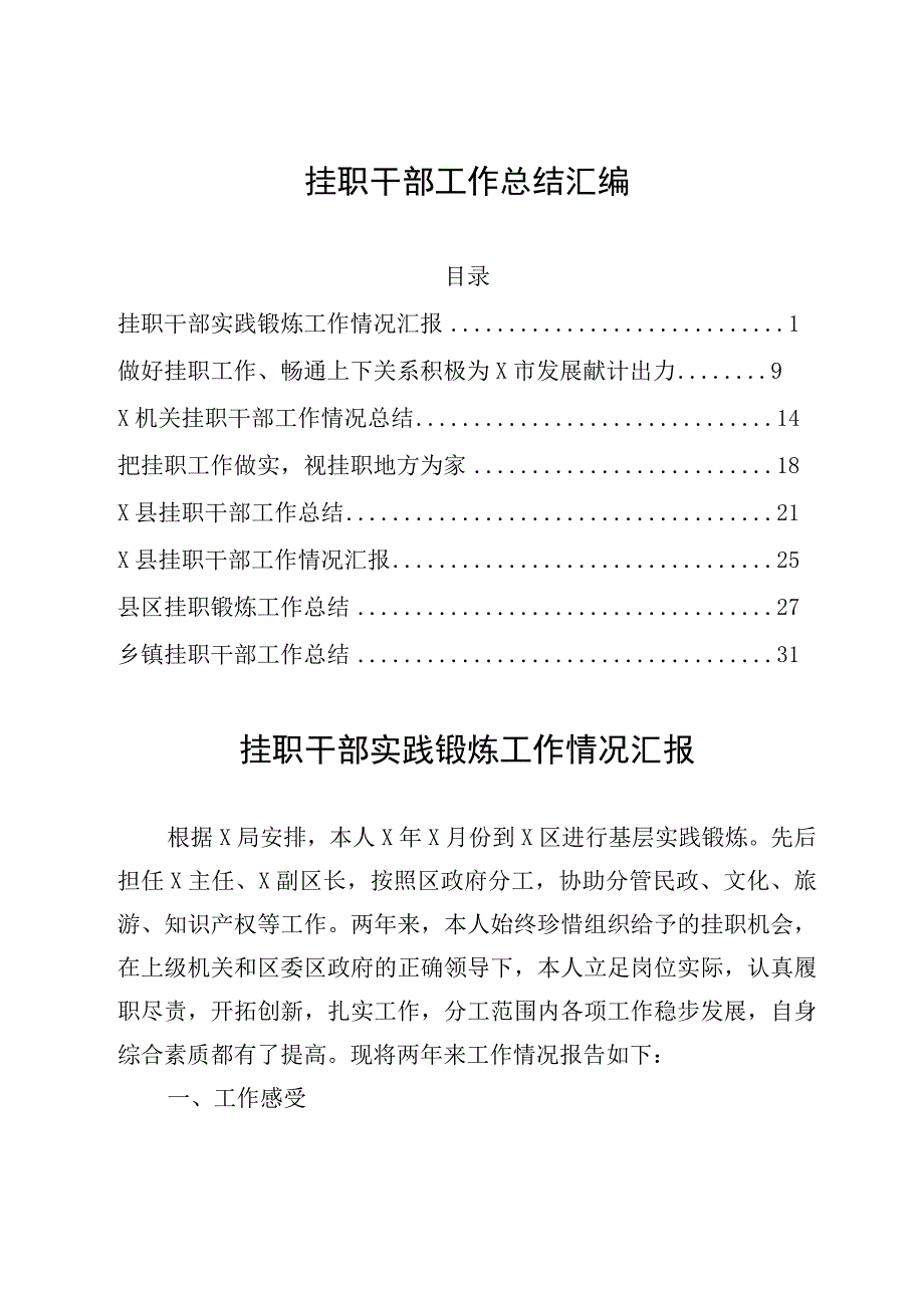 挂职干部工作总结汇编.docx_第1页