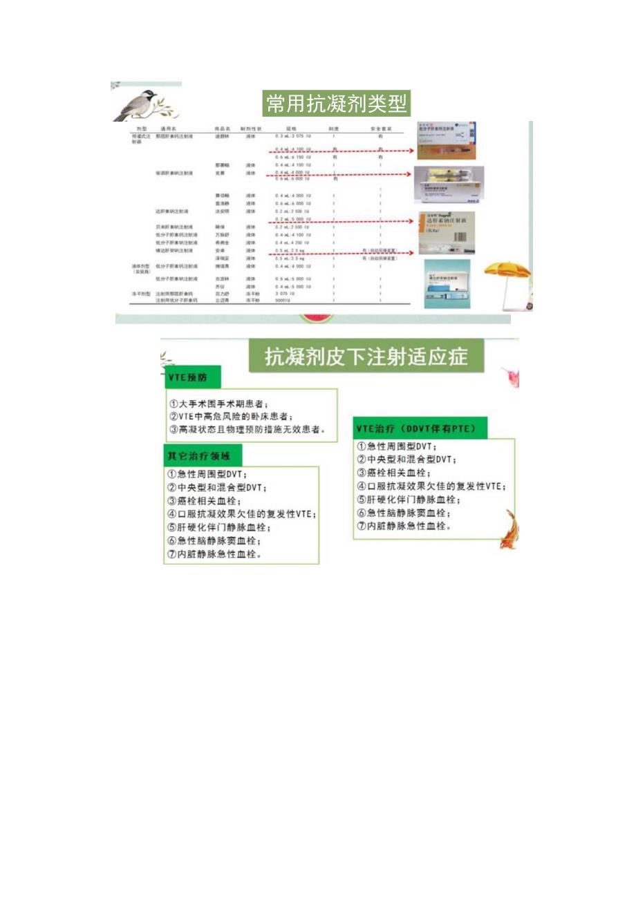 抗凝剂皮下注射护理规范专家共识.docx_第3页