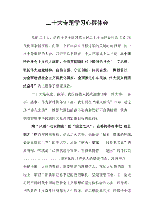 心得二十大专题学习心得体会4页.docx