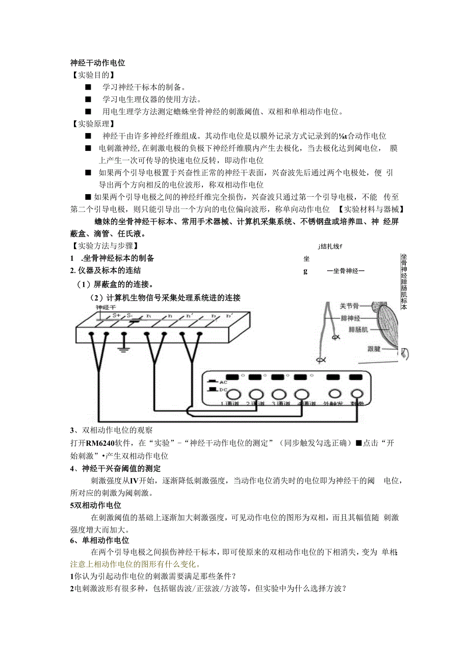 神经干动作电位的测定.docx_第1页