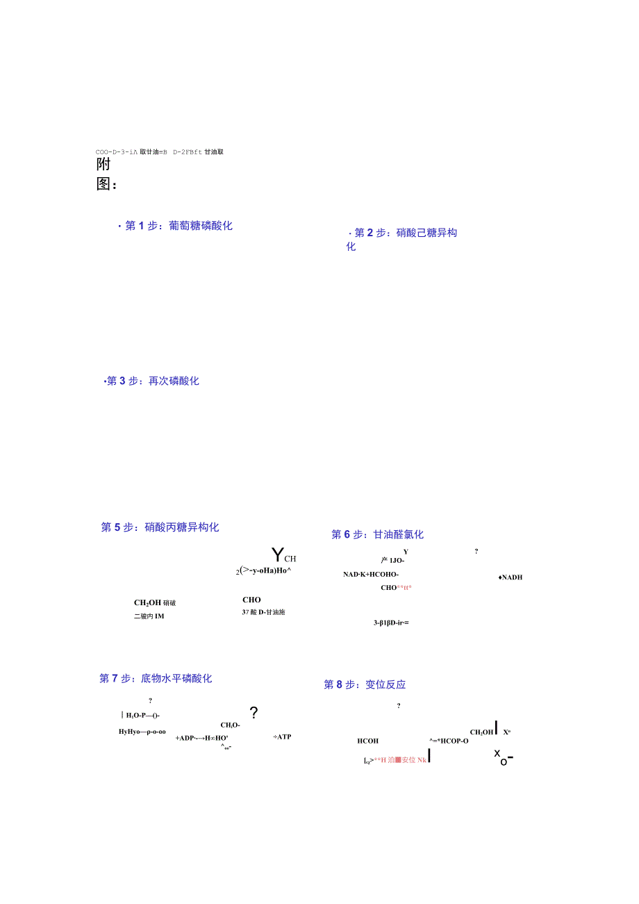 糖酵解TCA途径.docx_第2页