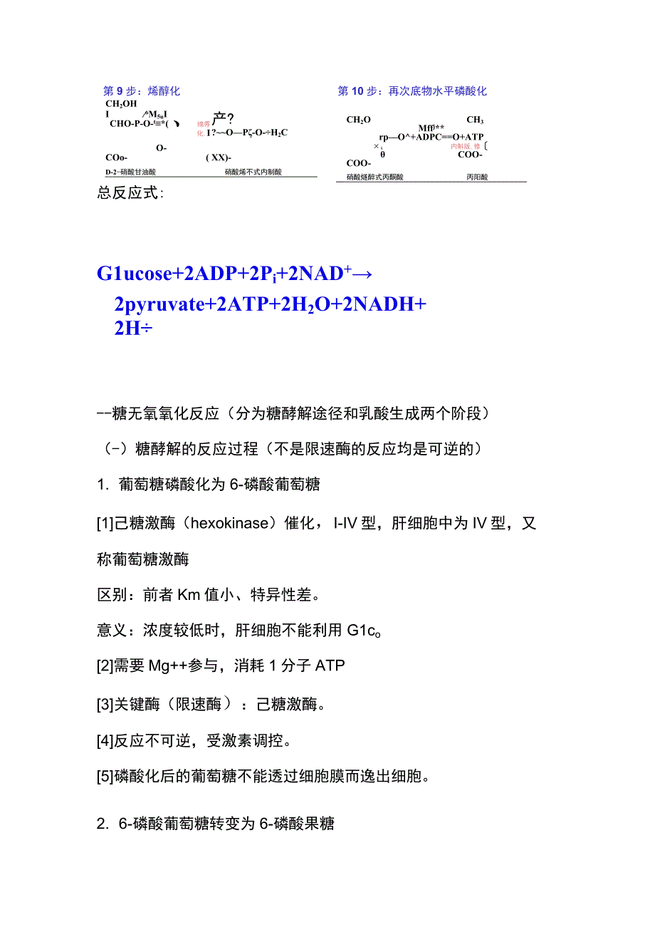 糖酵解TCA途径.docx_第3页