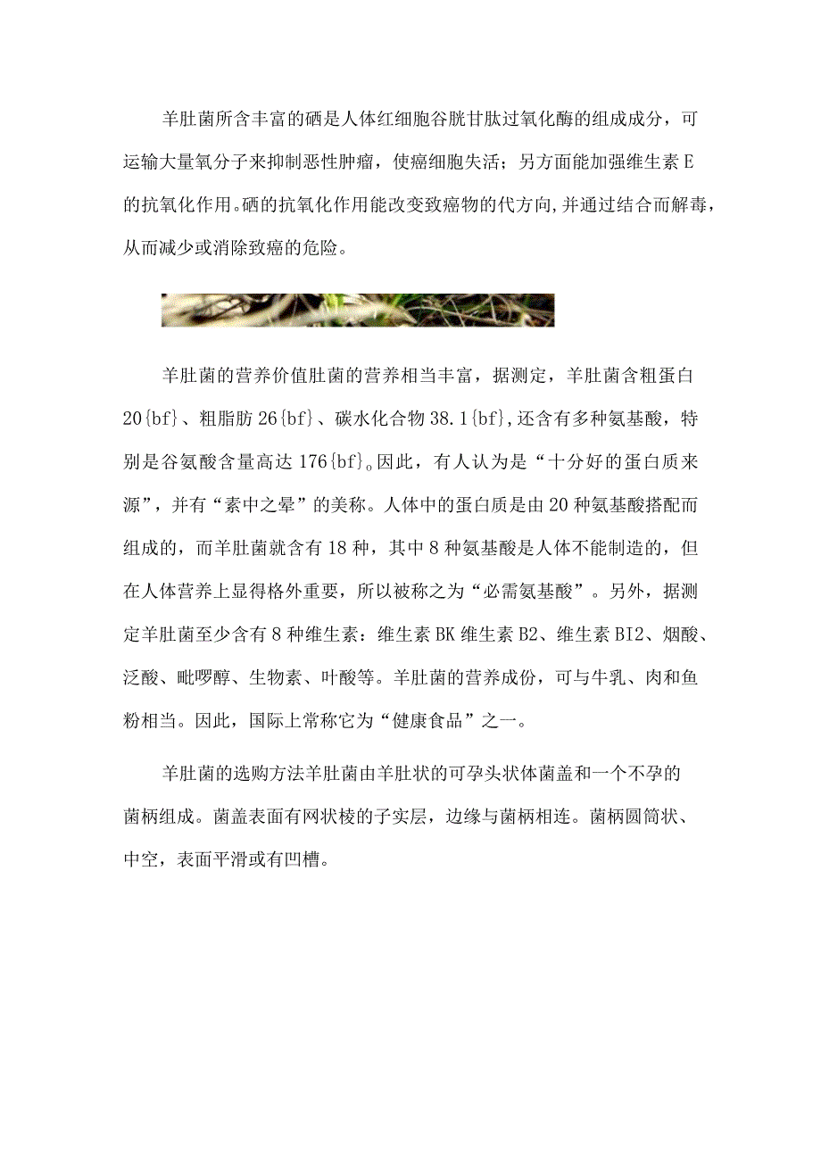 羊肚菌的价格：各地羊肚菌的价格情况及相关知识.docx_第2页