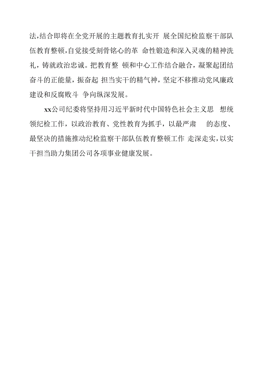 纪检监察干部队伍教育整顿工作学习个人心得感言.docx_第3页