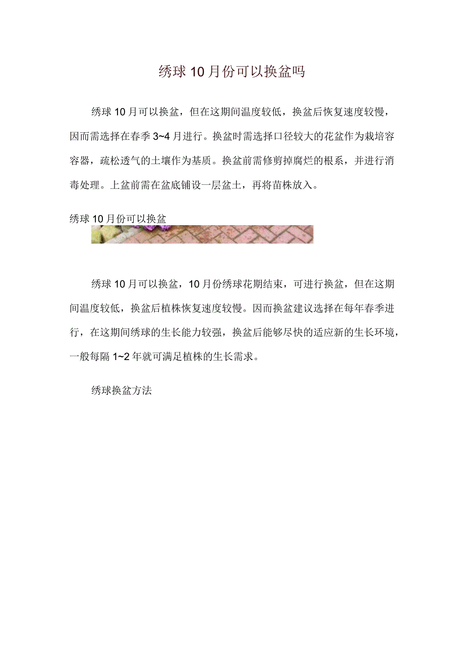 绣球10月份可以换盆吗.docx_第1页