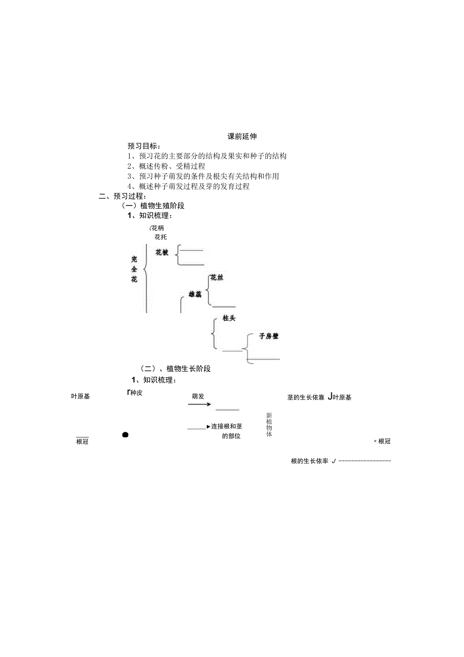 绿色开花植物的一生复习学案.docx_第3页