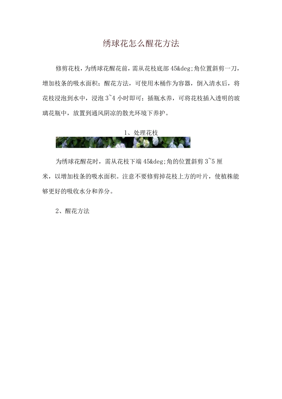 绣球花怎么醒花方法.docx_第1页