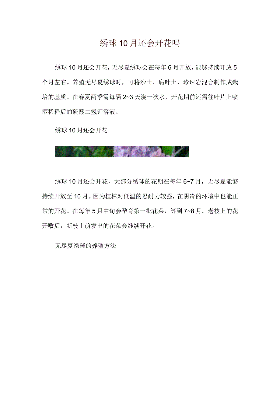 绣球10月还会开花吗.docx_第1页