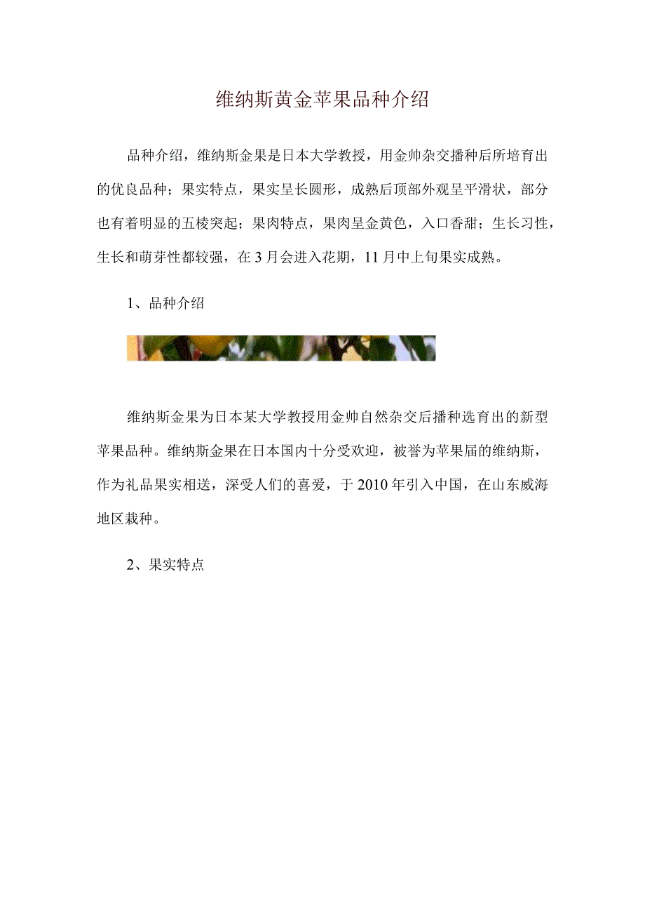 维纳斯黄金苹果品种介绍.docx_第1页