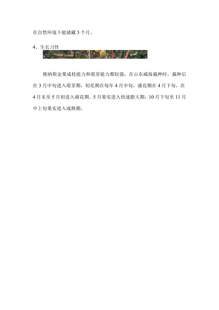 维纳斯黄金苹果品种介绍.docx_第3页