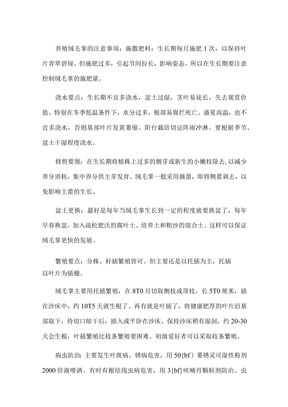 绒毛掌的养殖方法：注意通风少浇水.docx_第2页