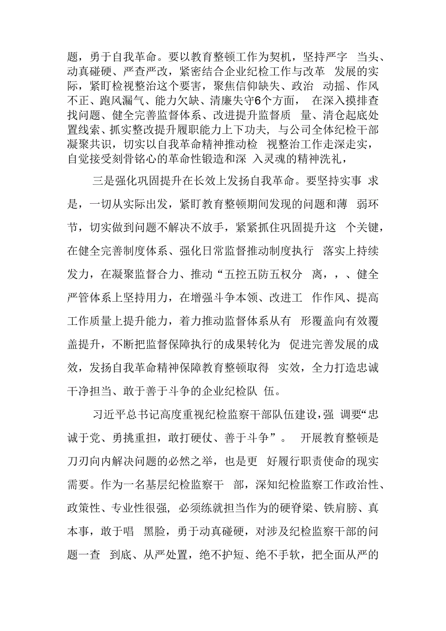 纪检监察干部教育整顿研讨发言心得体会材料.docx_第2页