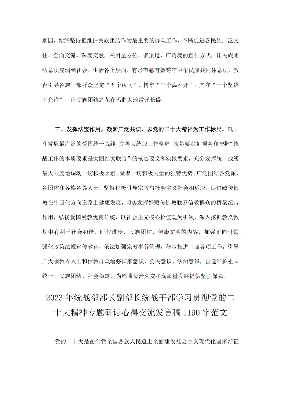 统战部部长副部长统战干部学习贯彻党的二十大精神专题研讨心得交流发言稿2篇.docx_第2页