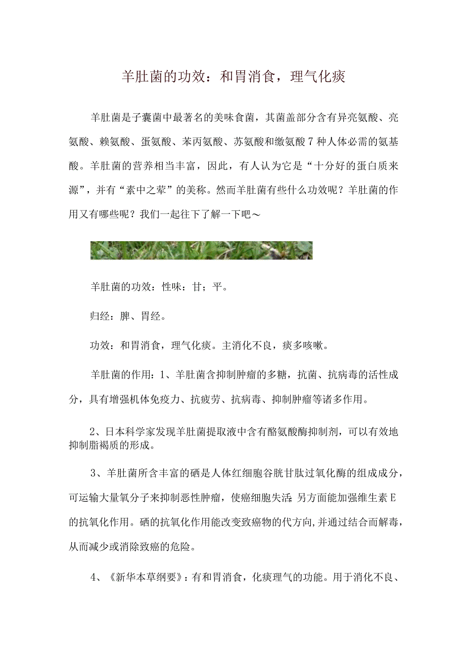 羊肚菌的功效：和胃消食理气化痰.docx_第1页