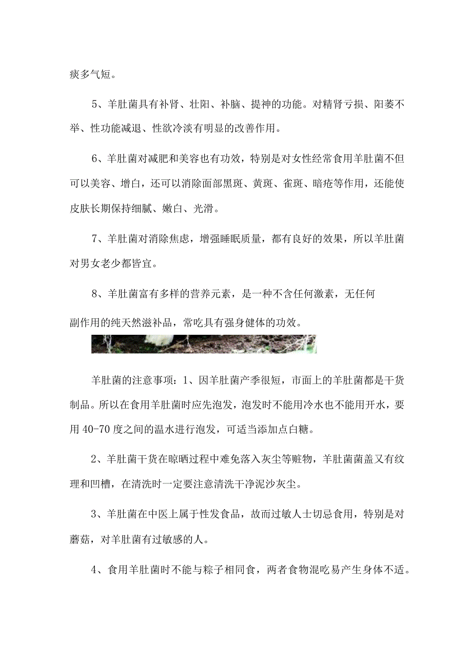 羊肚菌的功效：和胃消食理气化痰.docx_第2页