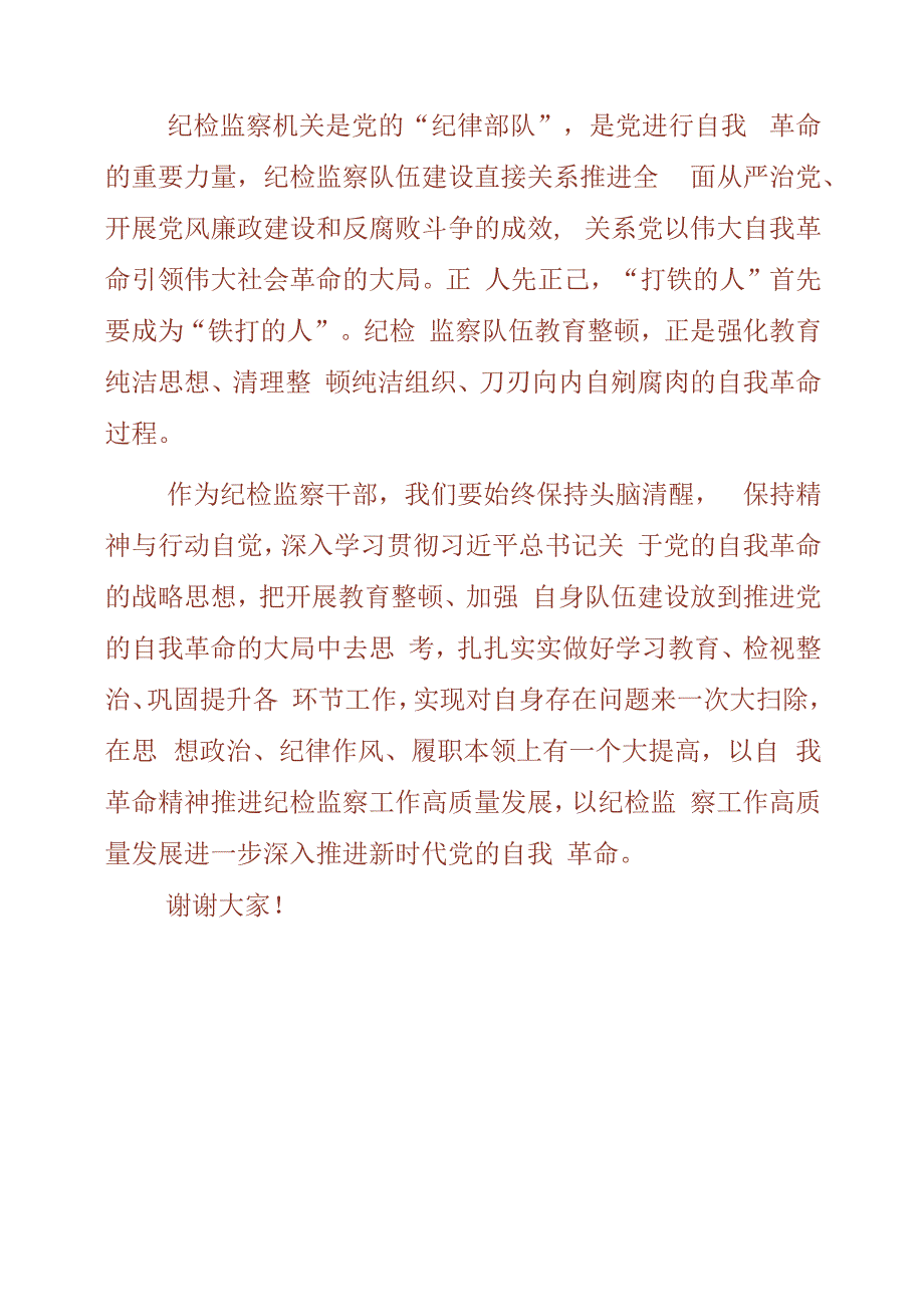 纪检监察干部队伍教育整顿工作学习个人讲话材料.docx_第3页