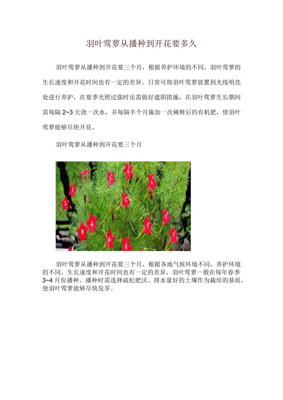 羽叶茑萝从播种到开花要多久.docx_第1页