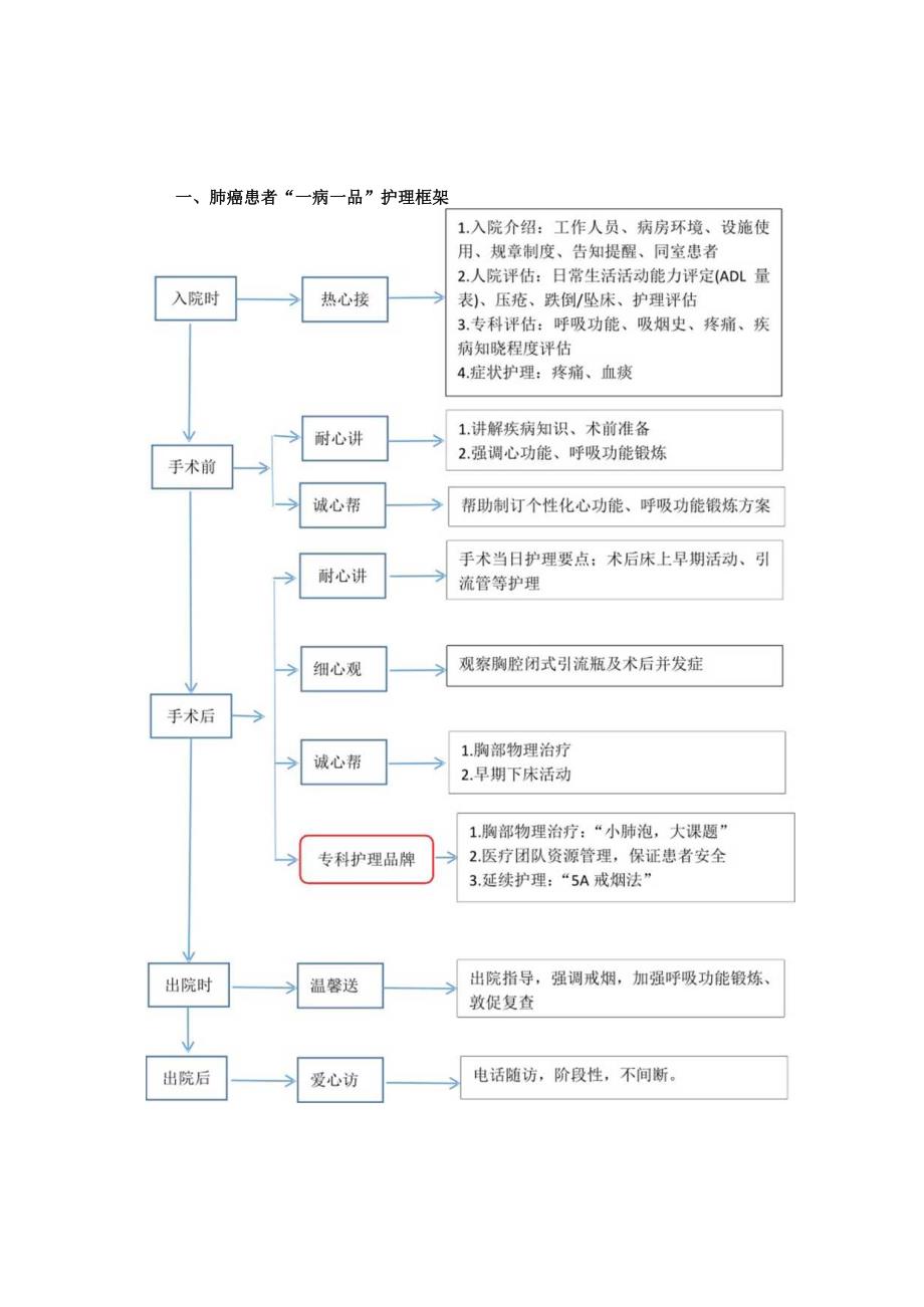 胸外科肺癌一病一品.docx_第1页