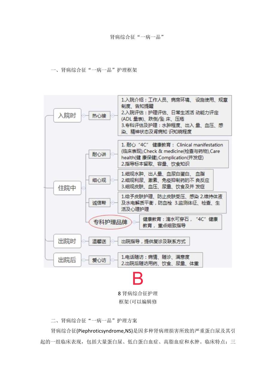 肾病科肾病综合征一病一品.docx_第1页