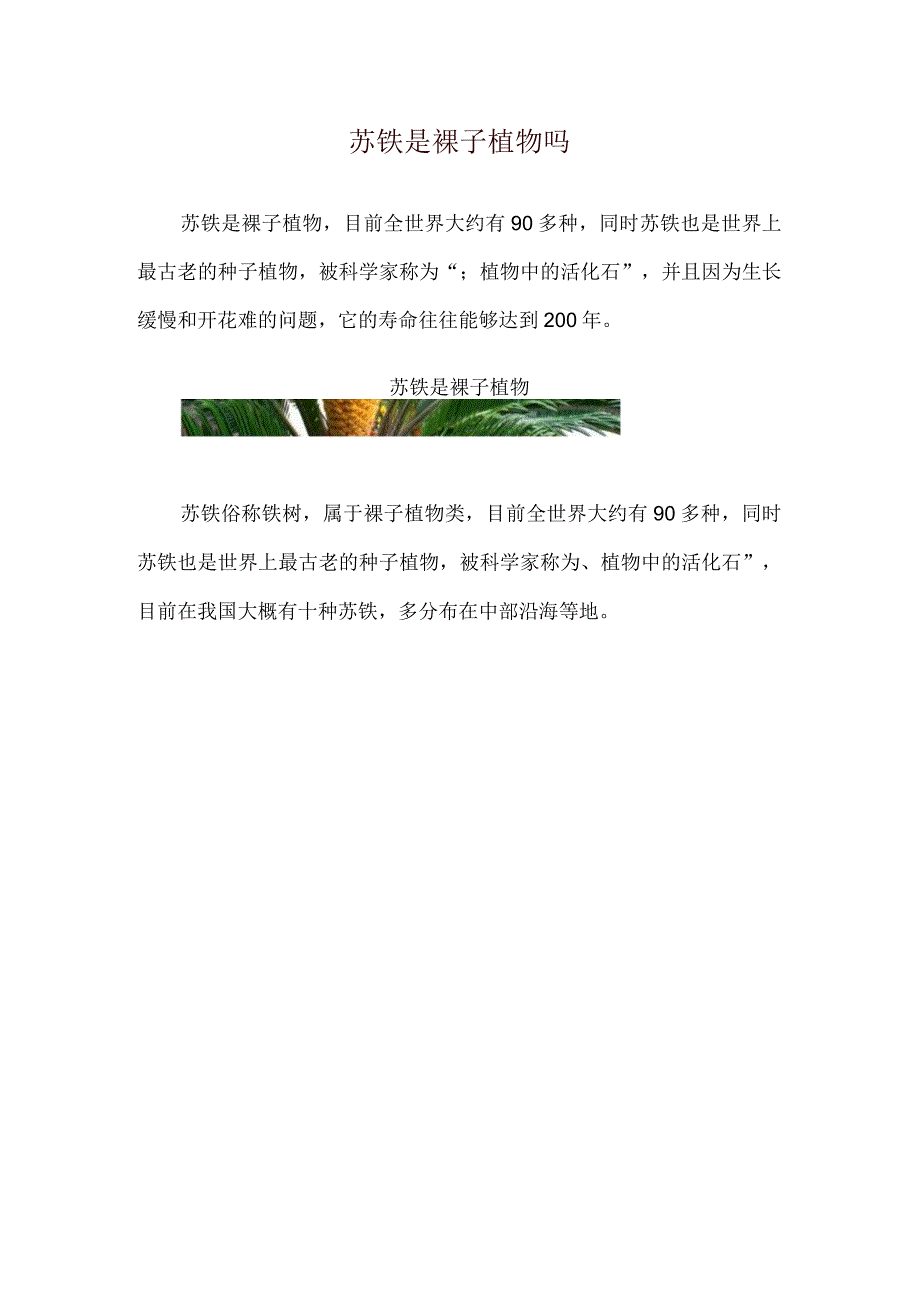 苏铁是裸子植物吗.docx_第1页