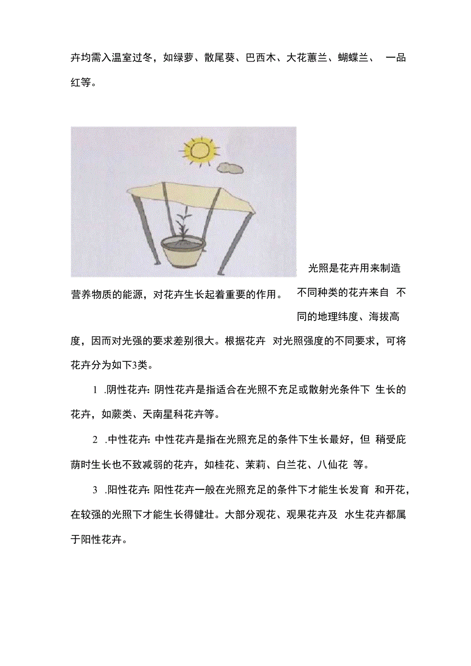 花卉生长条件：五方面,每方面都很重要.docx_第2页