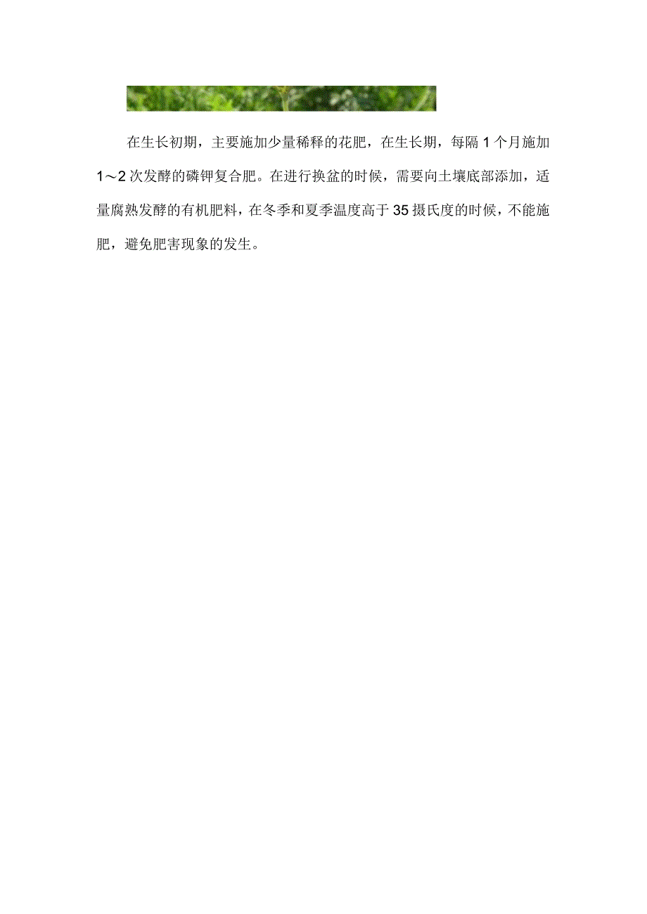 羽叶薰衣草怎么驱虫.docx_第3页