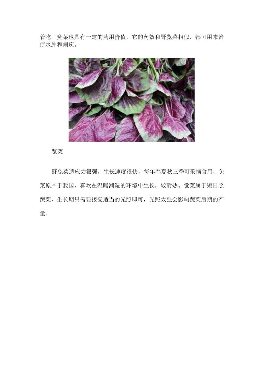 苋菜和野苋菜的区别.docx_第3页