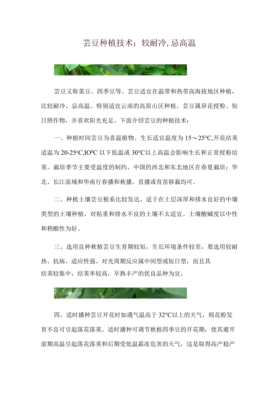 芸豆种植技术：较耐冷,忌高温.docx_第1页