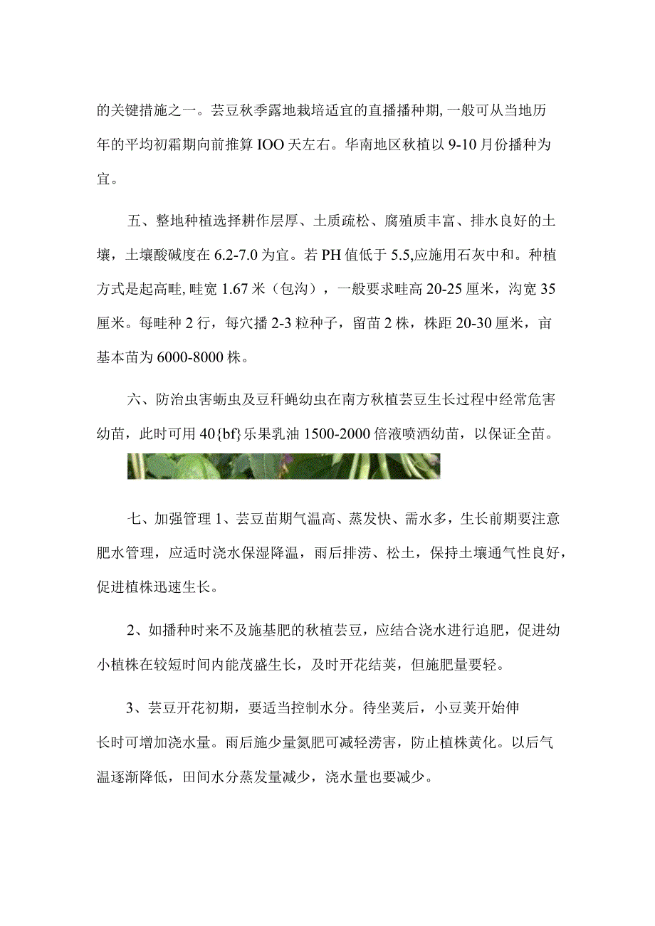 芸豆种植技术：较耐冷,忌高温.docx_第2页