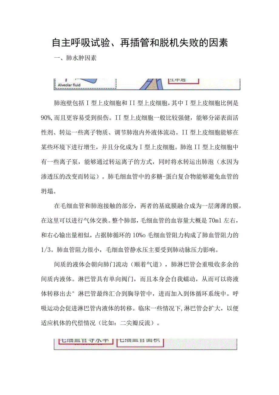 自主呼吸试验再插管和脱机失败的因素.docx_第1页