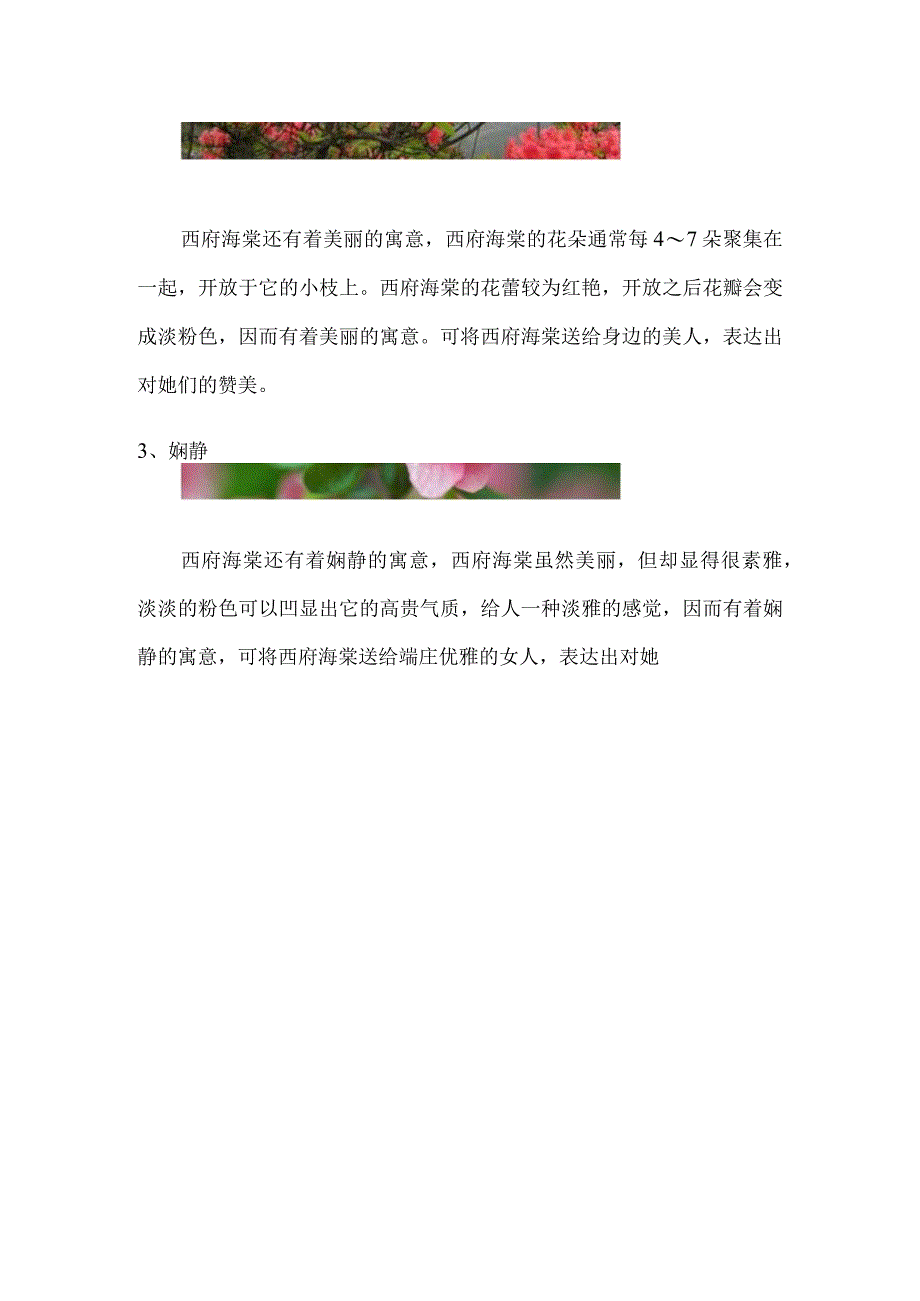 西府海棠的寓意.docx_第2页