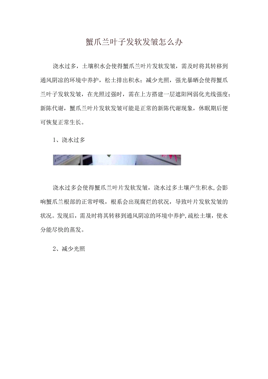 蟹爪兰叶子发软发皱怎么办.docx_第1页