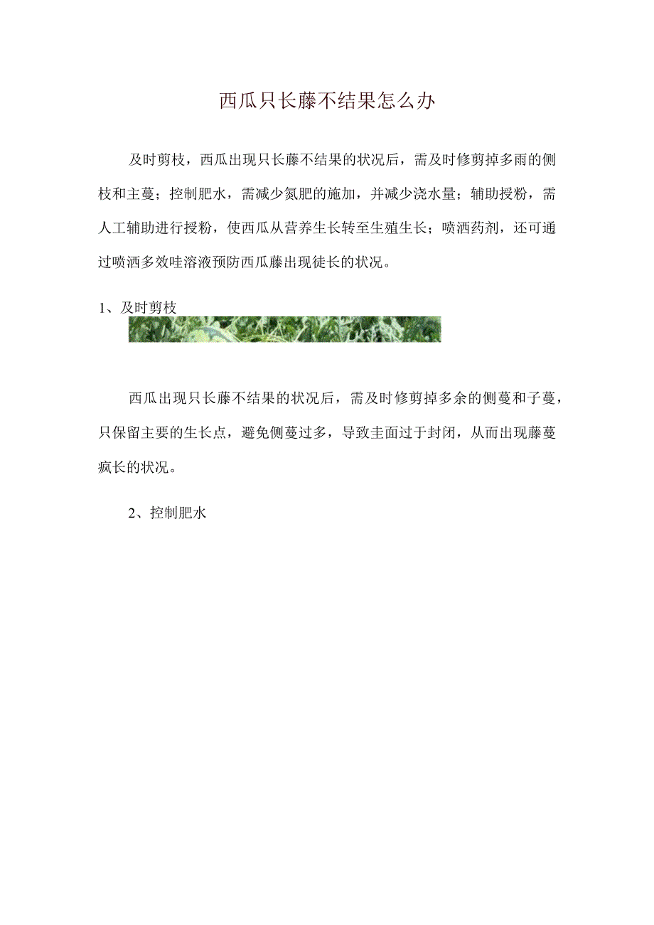 西瓜只长藤不结果怎么办.docx_第1页