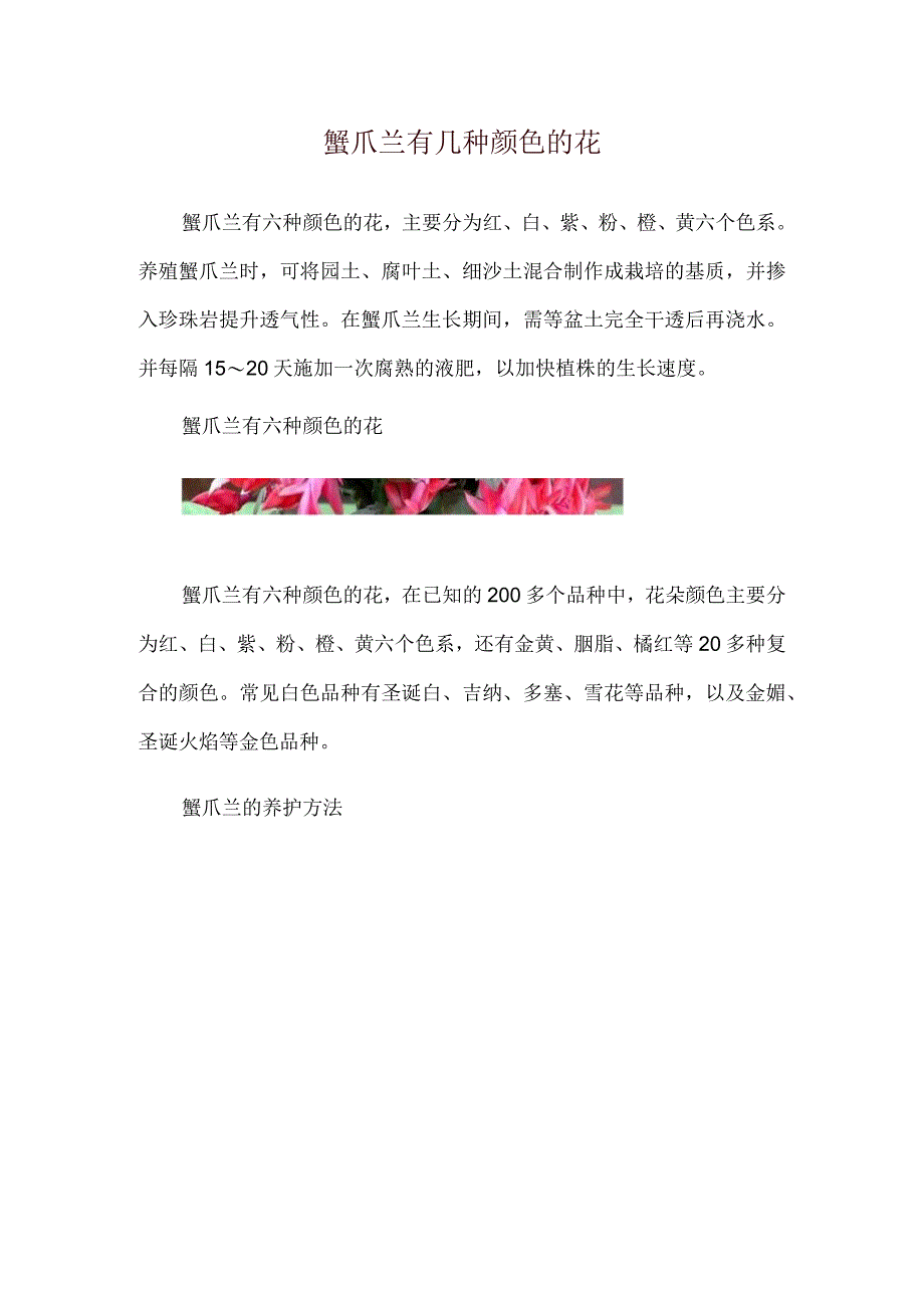 蟹爪兰有几种颜色的花.docx_第1页