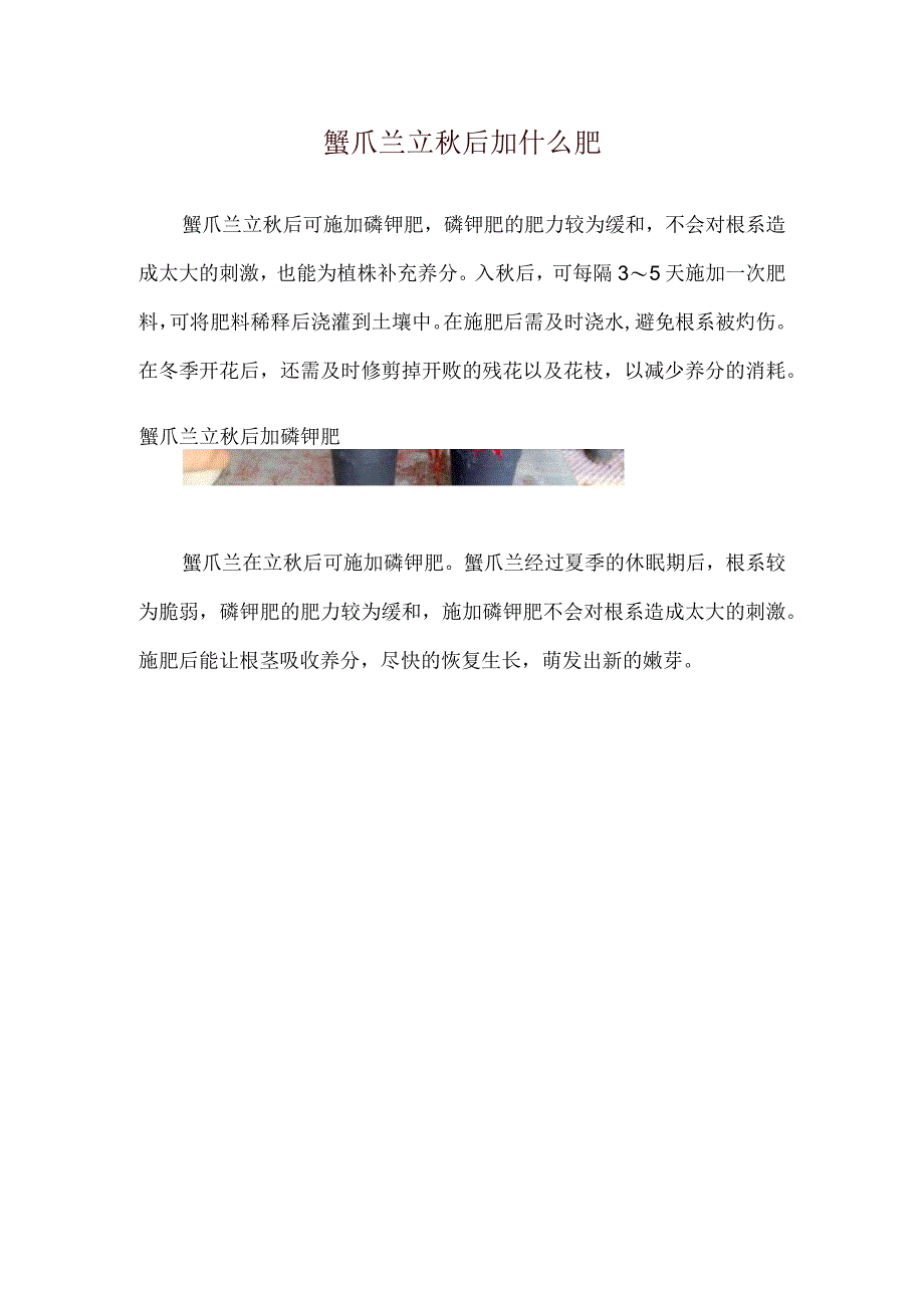 蟹爪兰立秋后加什么肥.docx_第1页