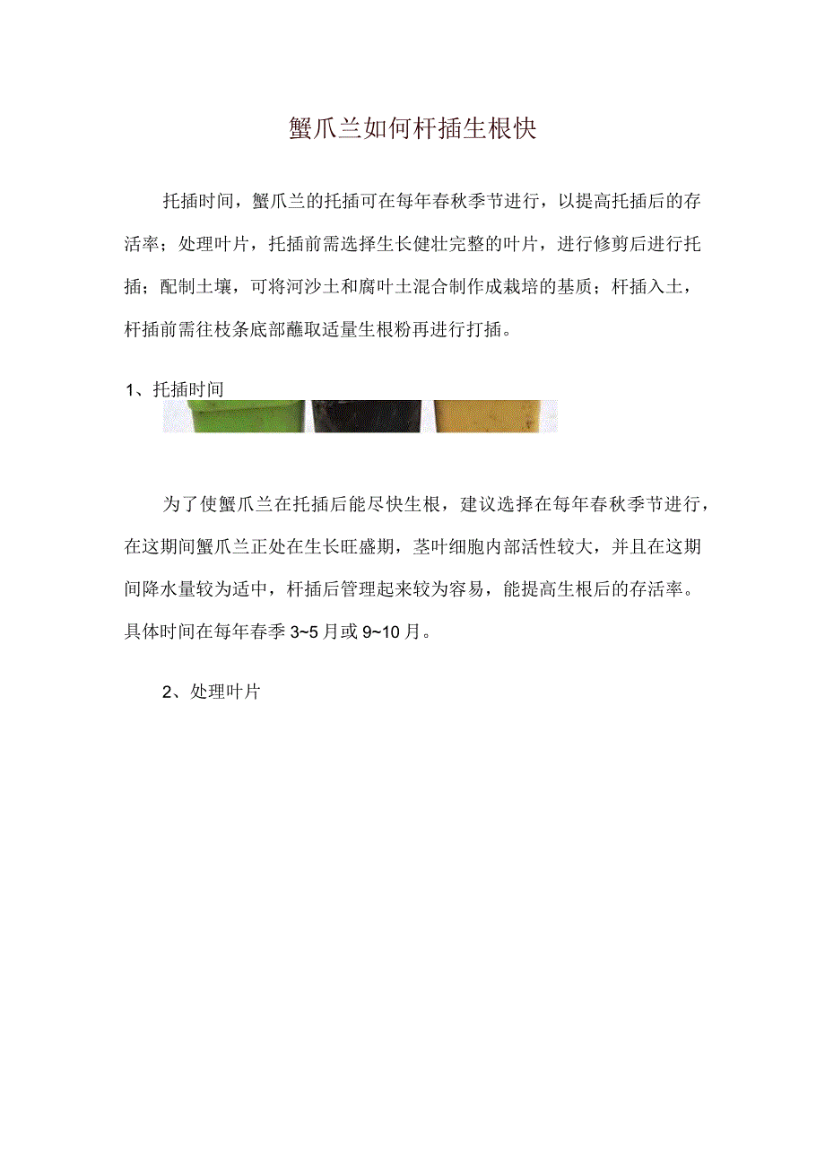 蟹爪兰如何扦插生根快.docx_第1页