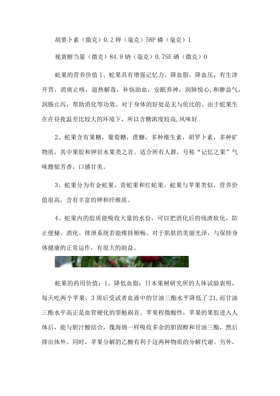 蛇果的营养价值：记忆之果.docx_第2页