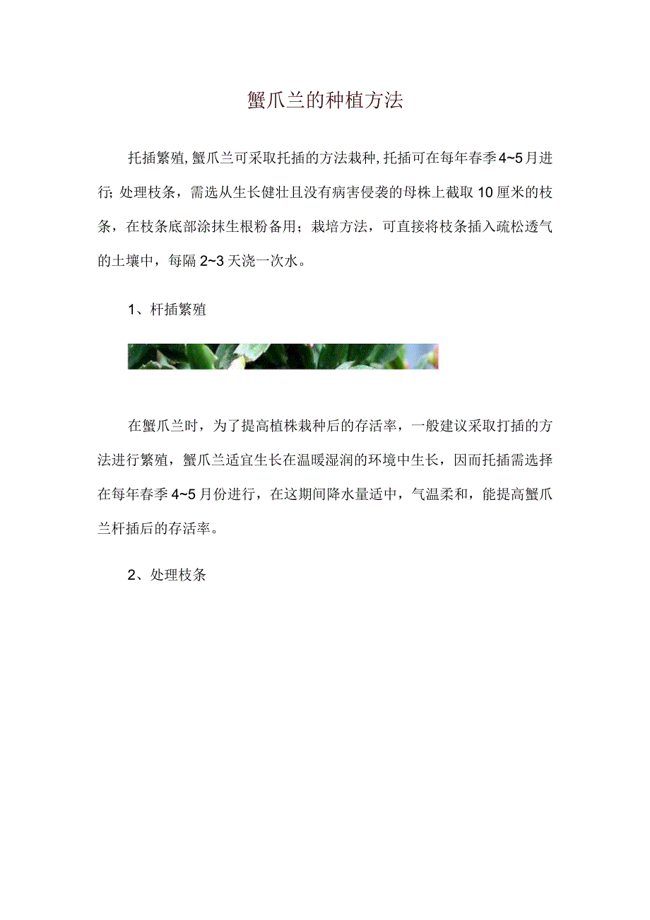 蟹爪兰的种植方法.docx_第1页