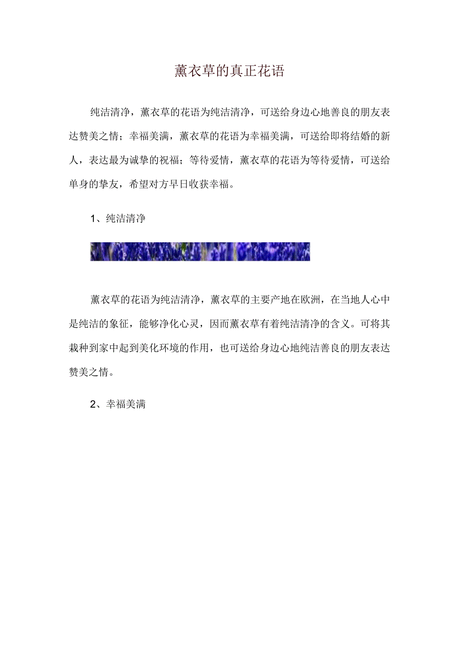 薰衣草的真正花语.docx_第1页