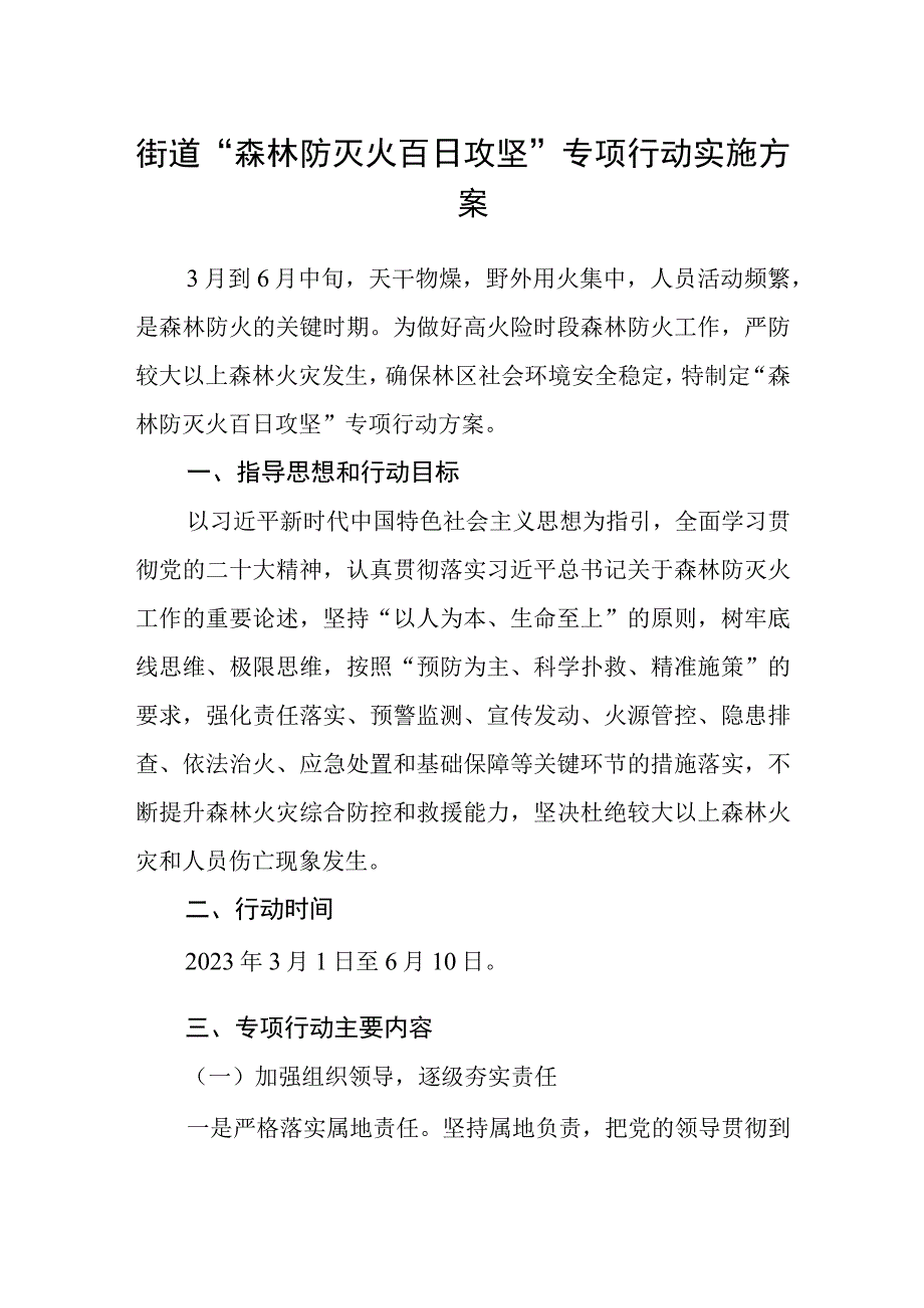 街道森林防灭火百日攻坚专项行动实施方案.docx_第1页