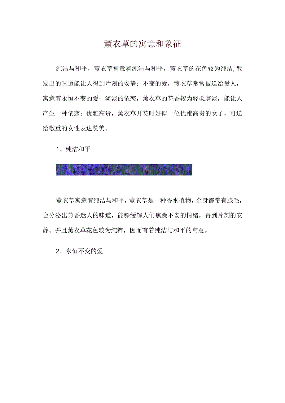 薰衣草的寓意和象征.docx_第1页