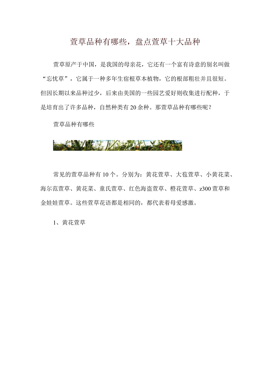 萱草品种有哪些盘点萱草十大品种.docx_第1页