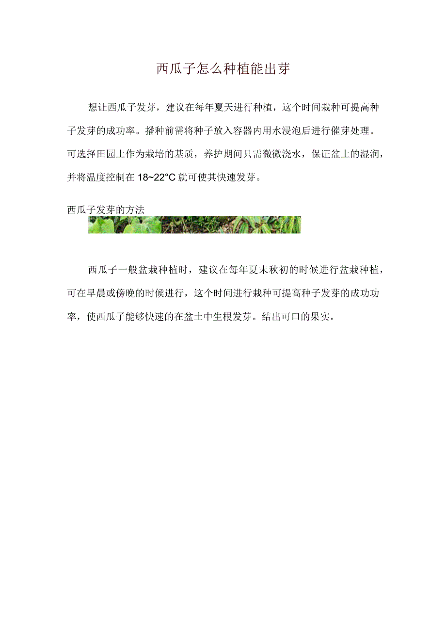 西瓜子怎么种植能出芽.docx_第1页