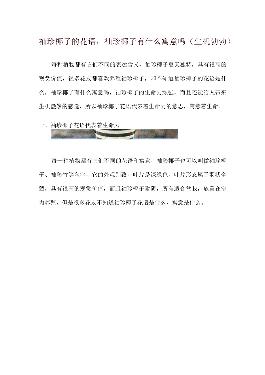 袖珍椰子的花语袖珍椰子有什么寓意吗(生机勃勃).docx_第1页