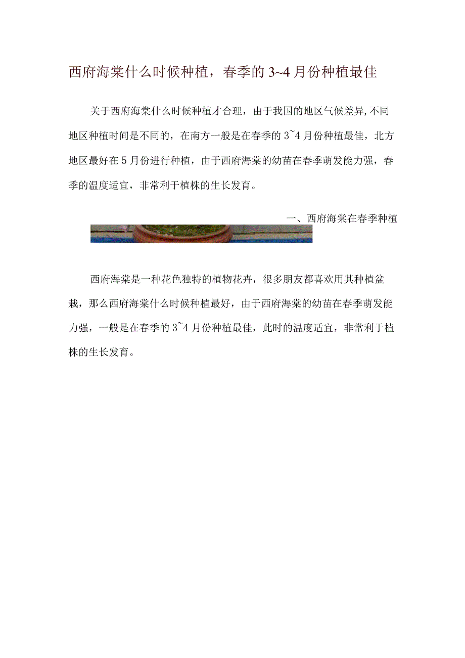 西府海棠什么时候种植春季的3～4月份种植最佳.docx_第1页