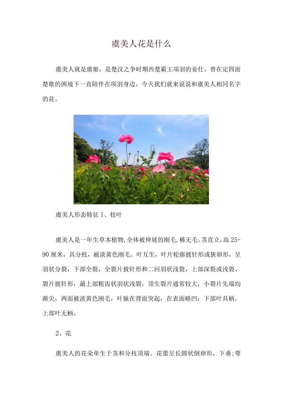 虞美人花是什么.docx_第1页