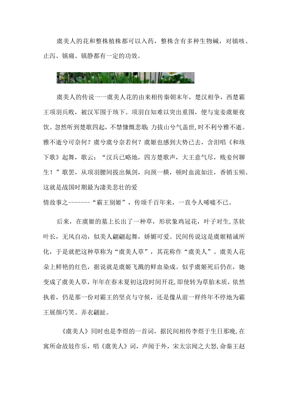 虞美人花是什么.docx_第3页